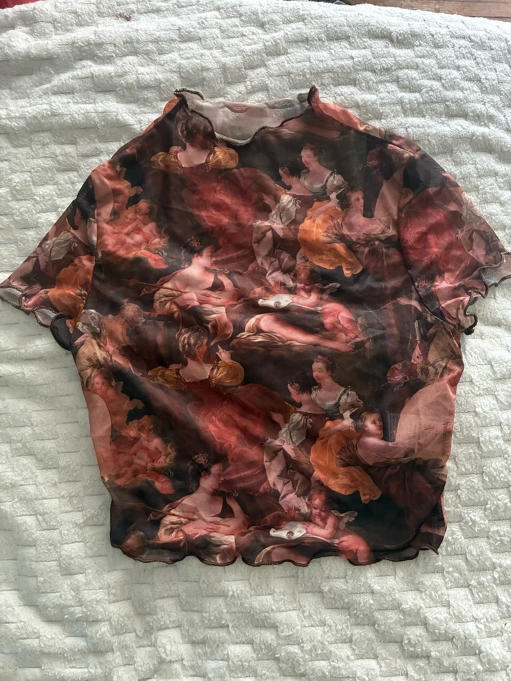 Sheer Romantic Art-Print Short Sleeve Top in Multi-Color